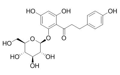 Phlorizin