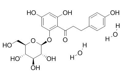 Phlorizin dihydrate