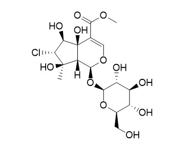 Phloyoside II