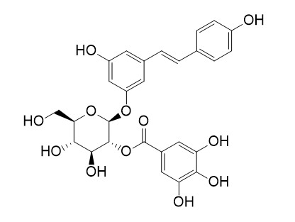 Pieceid-2''-O-gallate