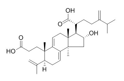 Poricoic acid A(F)