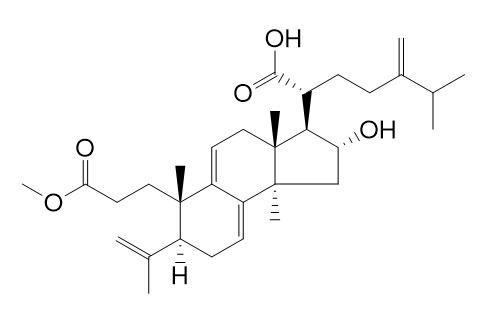 Poricoic acid AM