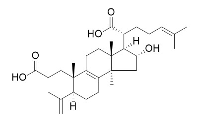 Poricoic acid G
