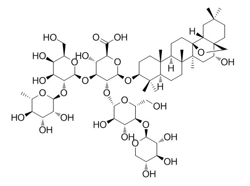 Primulic acid II