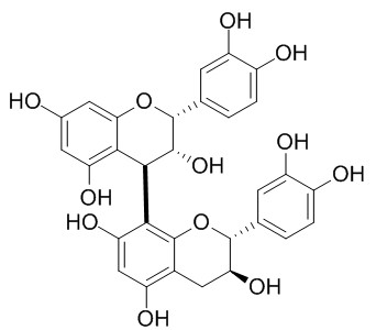 Procyanidin B1