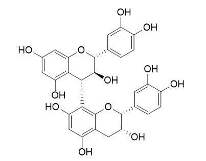 Procyanidin B4