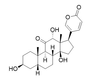 Pseudobufarenogin