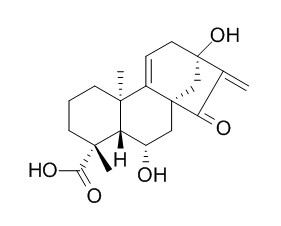 Pterisolic acid A