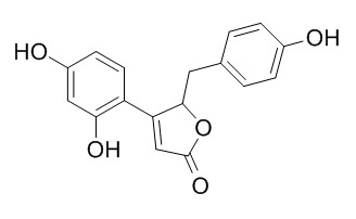 Puerol A