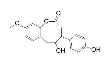 Puerol B