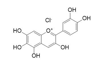 Quercetagetinidin chloride