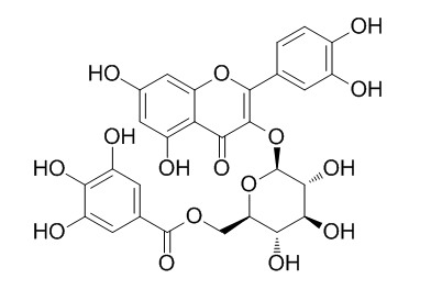Quercetin 3-O-(6-galloyl)-beta-D-glucopyranoside