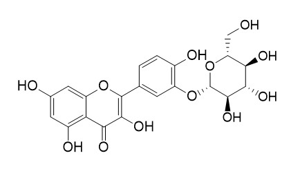 Quercetin-3-glucoside