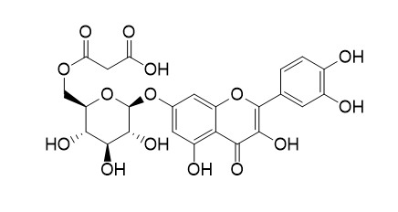 Quercetin 7-O-(6-O-malonyl)-beta-D-glucoside
