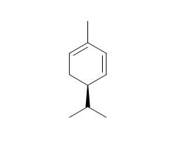 (R)-(-)-alpha-Phellandrene