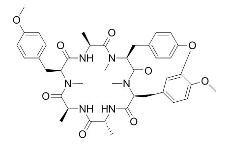 RA VII