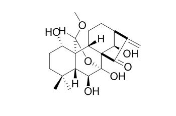 Rabdoternin F