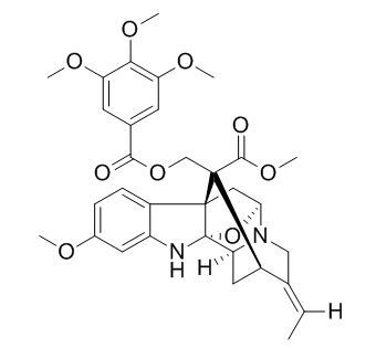 Rauvoyunine C