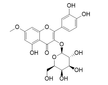 Rhamnetin 3-galactoside