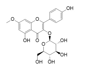 Rhamnocitrin 3-glucoside