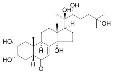 Rhapontisterone B