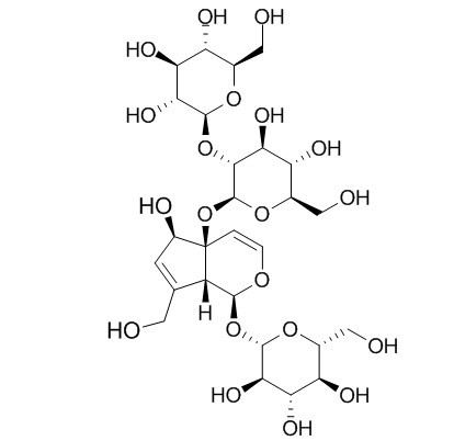 Rhmannioside D