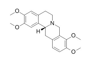 Rotundine