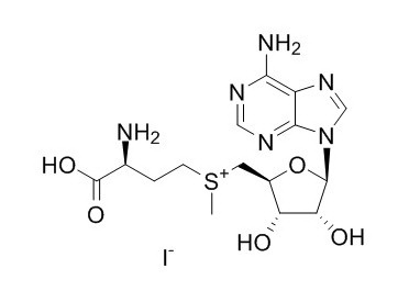 S-Adenosyl-L-Methionine iodide salt