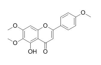 Salvigenin