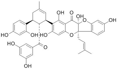 Sanggenone D