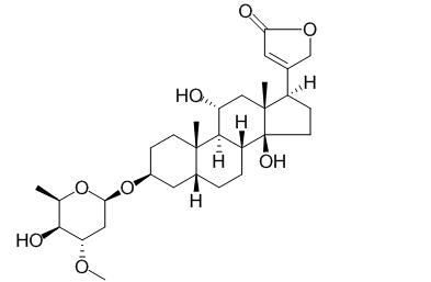 Sarmentocymarin