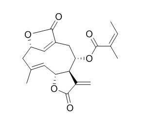 Scabertopin