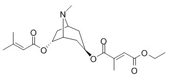 Schizanthine A