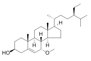 Schleicheol 2