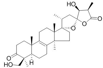 Scillascillone