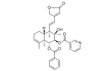 Scutebarbatine Y