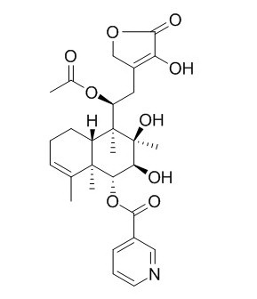 Scutebata C