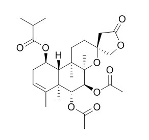 Scutebata E