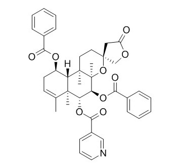 Scutebata G