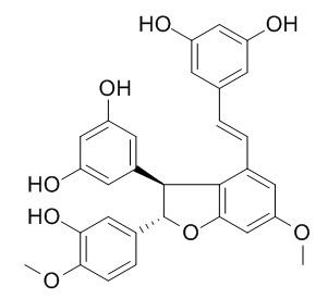 Shegansu B