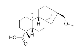 Siegesmethyetheric acid