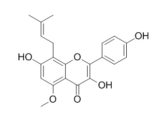 Sophoflavescenol