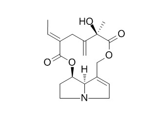 Spartioidine