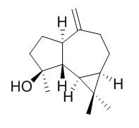 Spathulenol