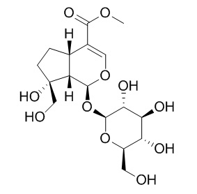 Splendoside