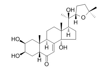 Stachysterone D