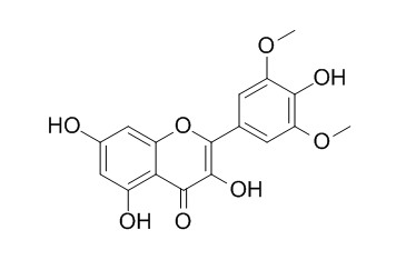 Syringetin