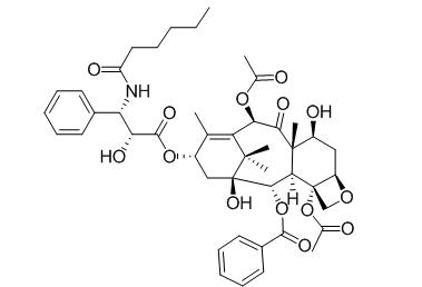 Taxol C