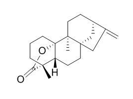 Tetrachyrin