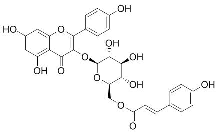 Tiliroside